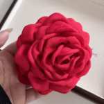 S5136c4c0b17443b8ac97ef11474d3b1fv