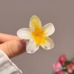 S8c8eddeece8a4a9983a319bb1dd62d36s